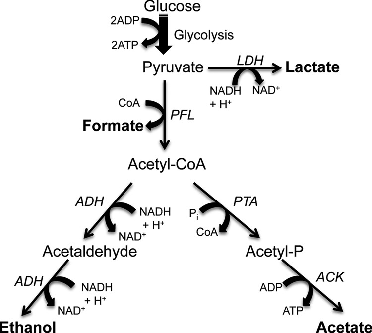 FIG 1