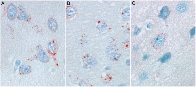 Fig 2