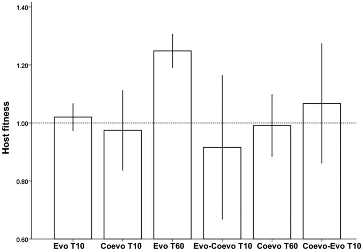 Fig. 5.