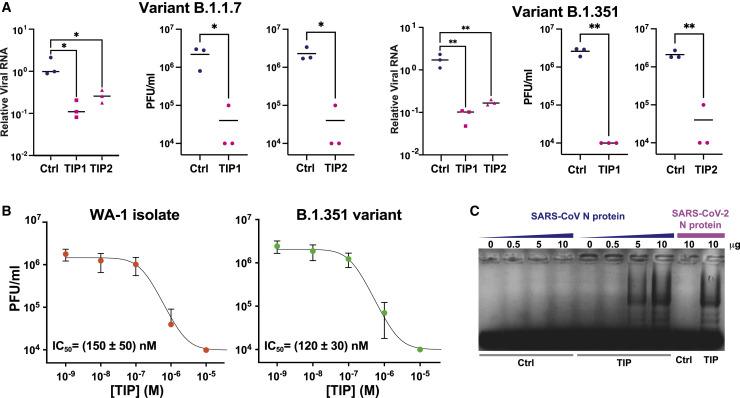 Figure 6