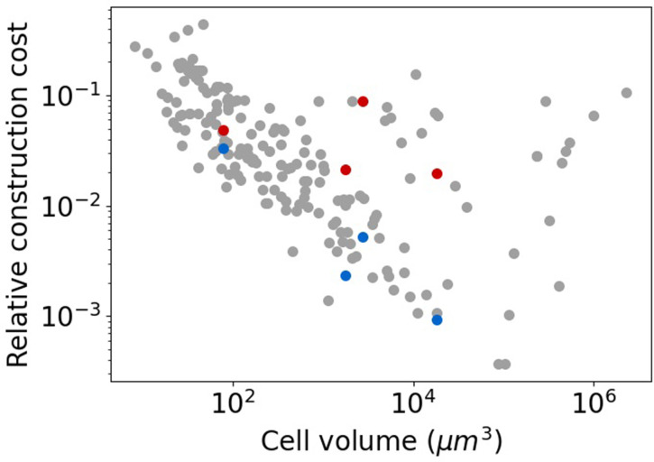 Figure 1—figure supplement 2.