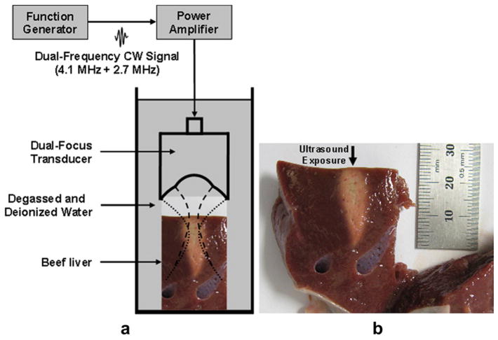 Fig. 14