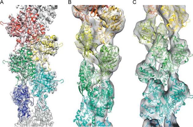 Fig. 7