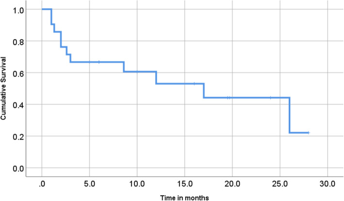 Fig. 4