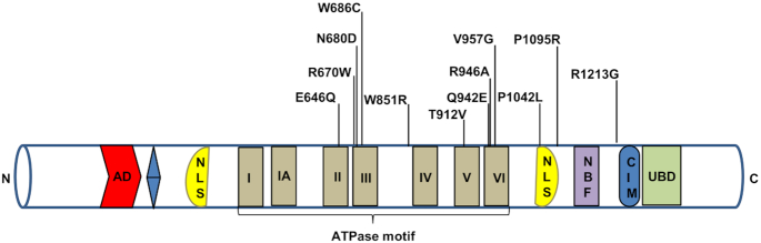 Figure 1.