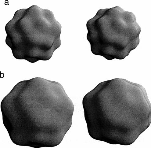 FIGURE 14