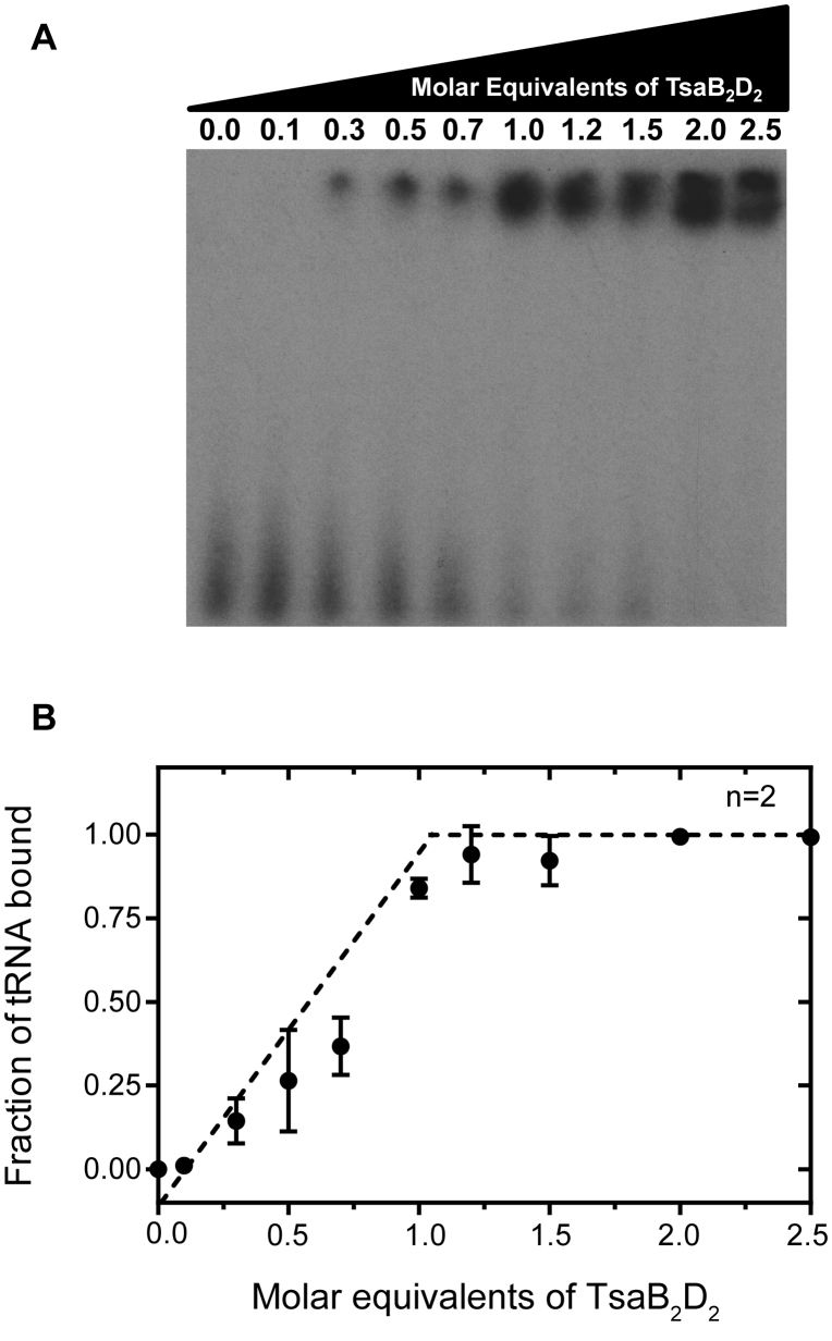 Figure 6.