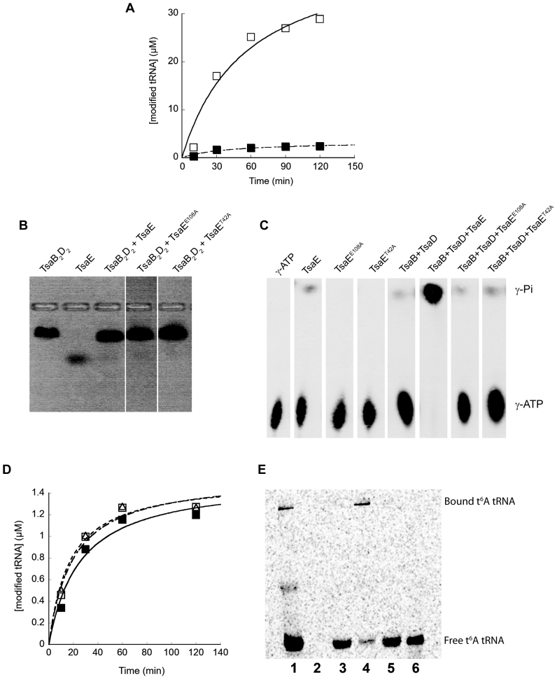 Figure 7.