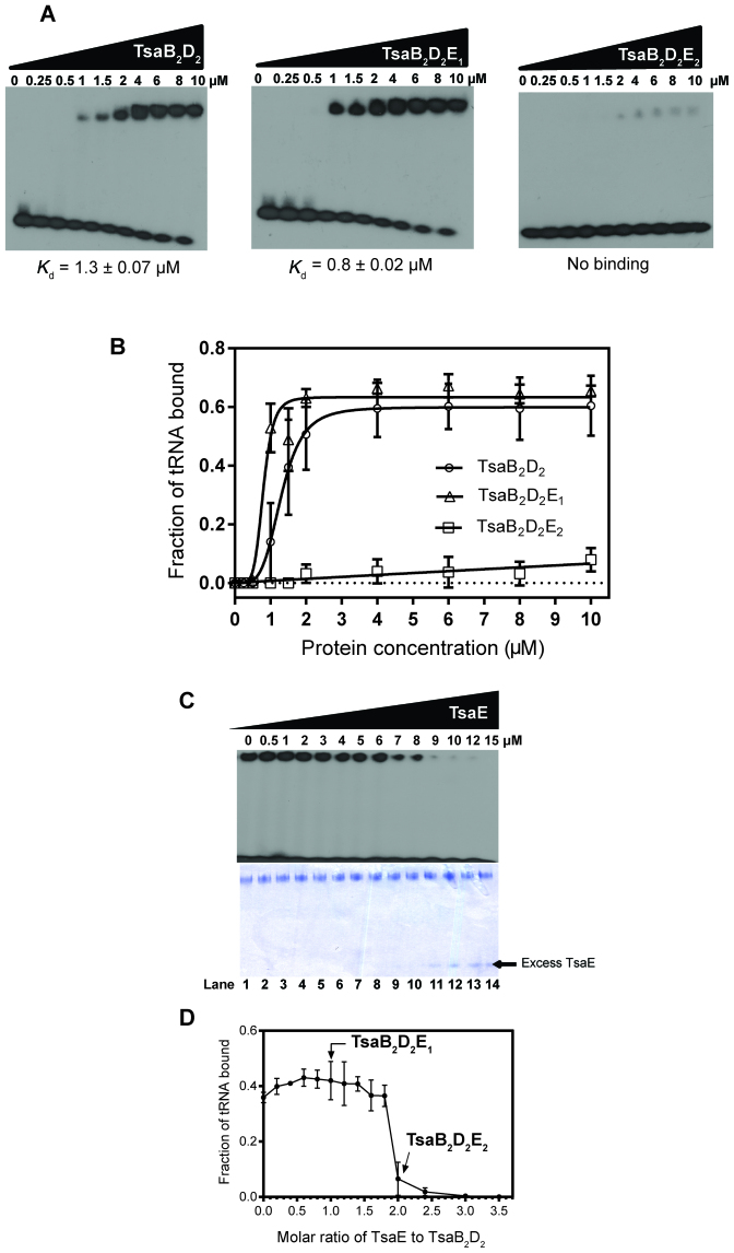 Figure 5.