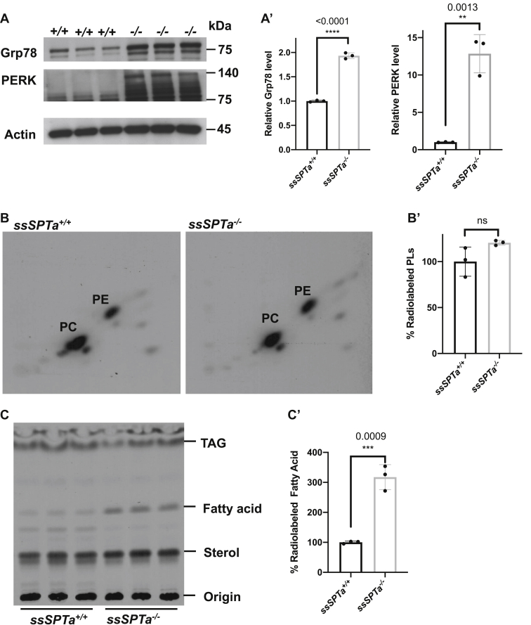 Figure 6