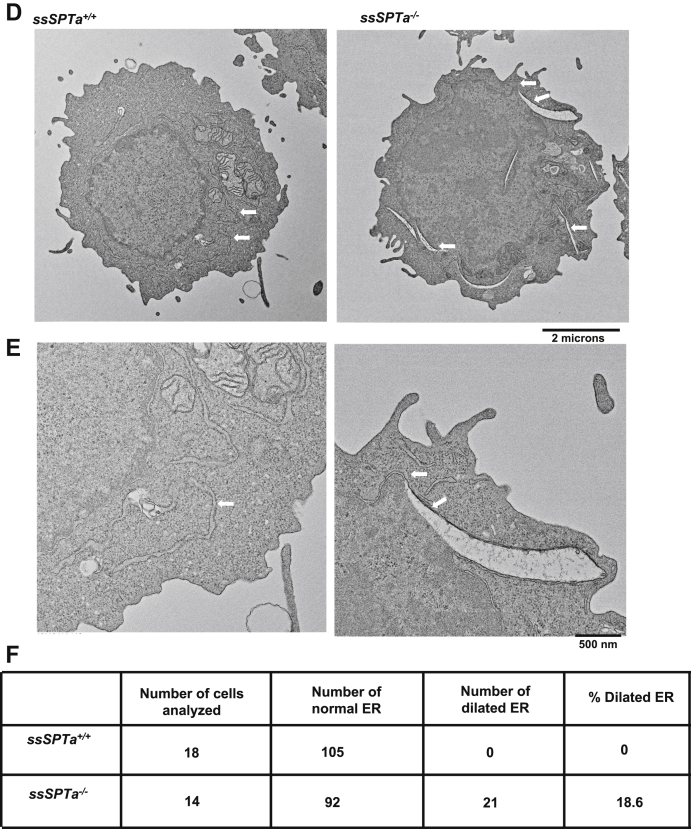 Figure 6