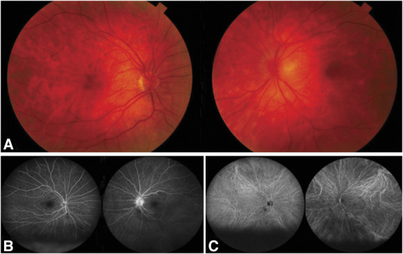 FIG. 1.