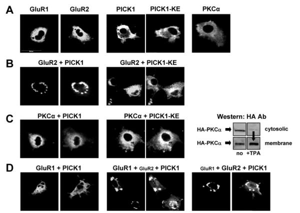 FIG.4