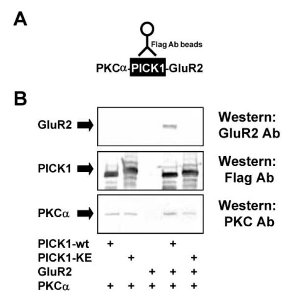 FIG.2