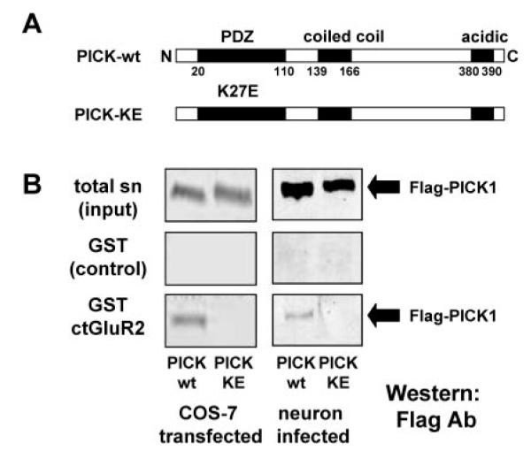 FIG.1