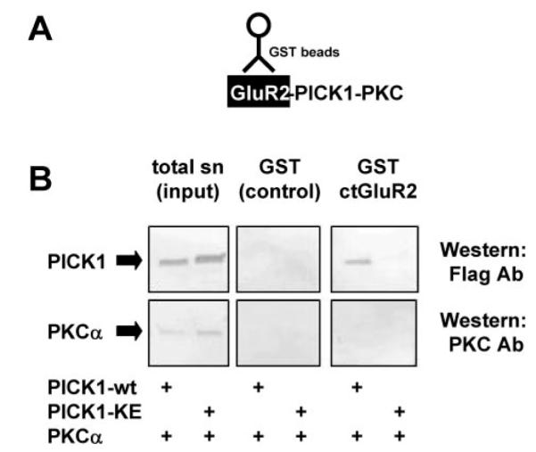 FIG.3