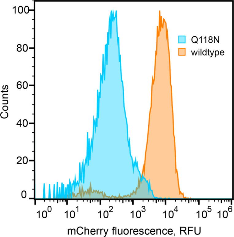 Figure 6—figure supplement 2.