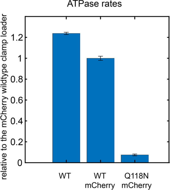 Figure 9—figure supplement 2.