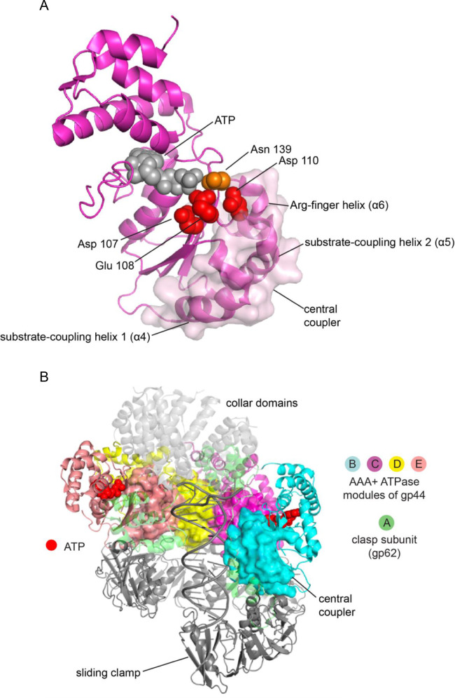 Figure 7.