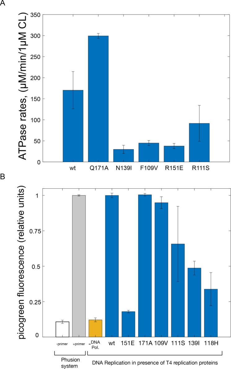 Figure 3—figure supplement 1.