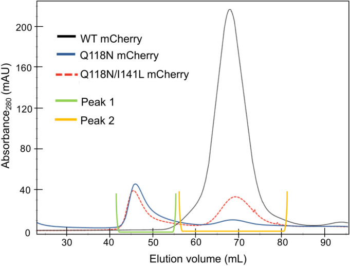 Figure 9—figure supplement 1.