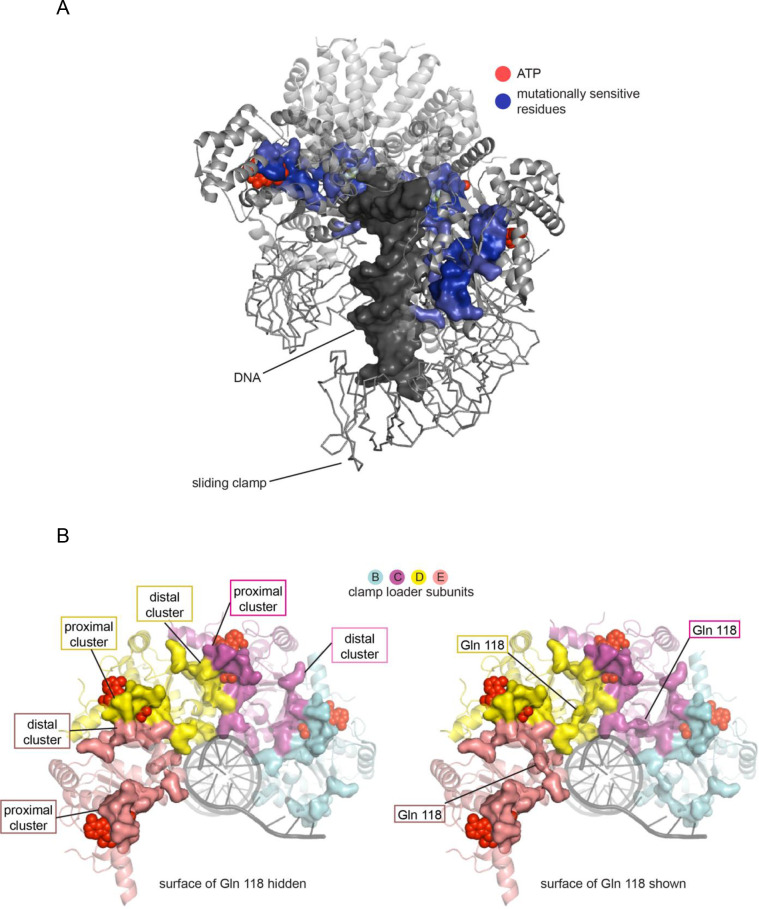 Figure 6.