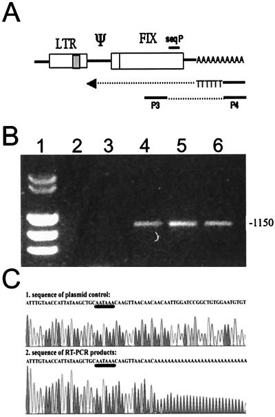 FIG. 8.