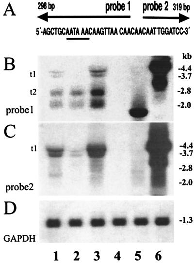 FIG. 7.