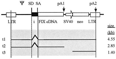 FIG. 6.