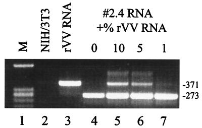 FIG. 5.