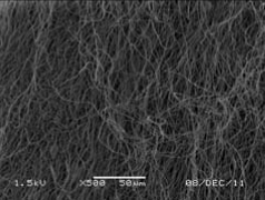 graphic file with name inl-1.gif