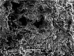 graphic file with name inl-4.gif