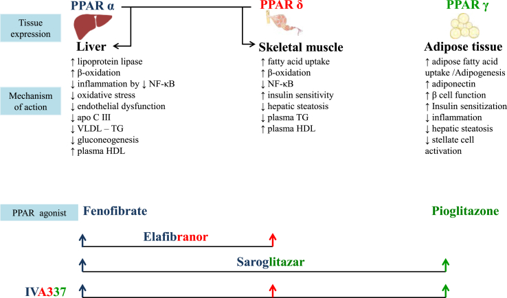 Figure 3