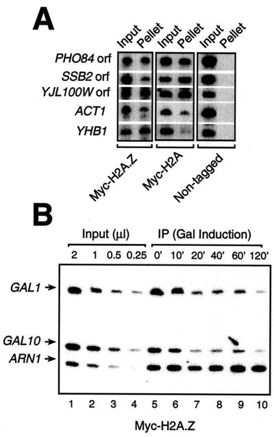 FIG. 6