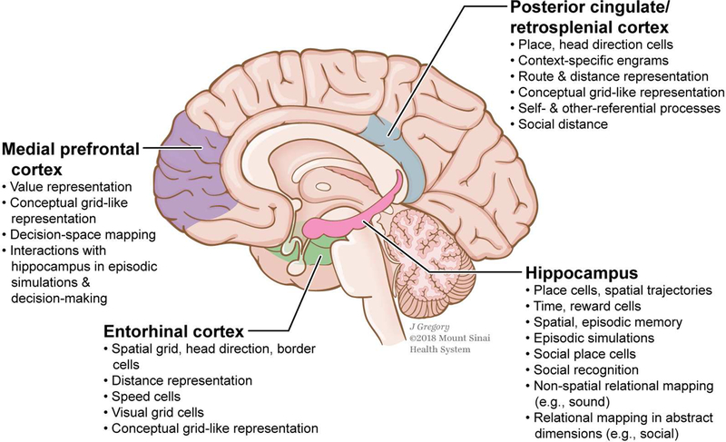 Figure 3: