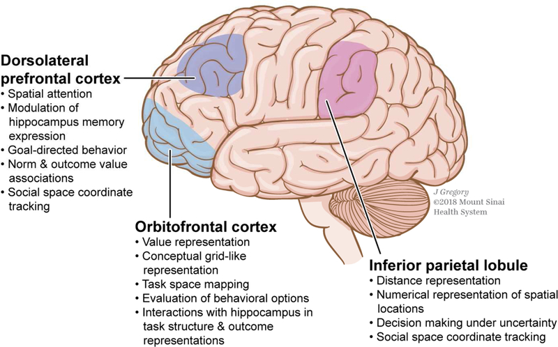 Figure 3: