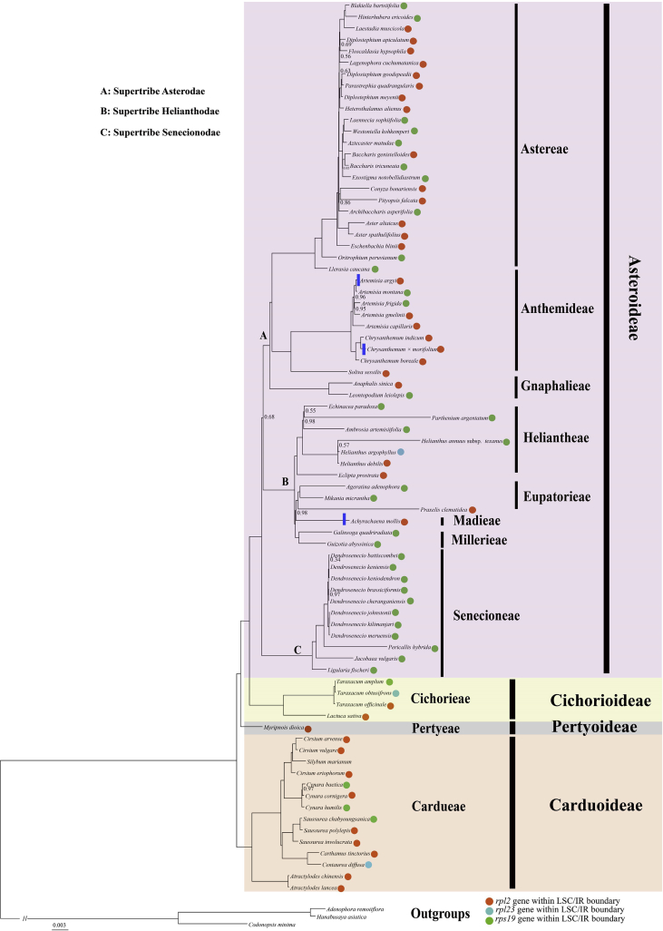 Fig. 2