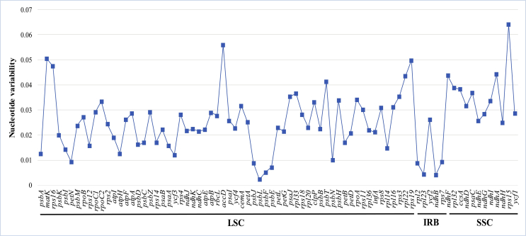 Fig. 4