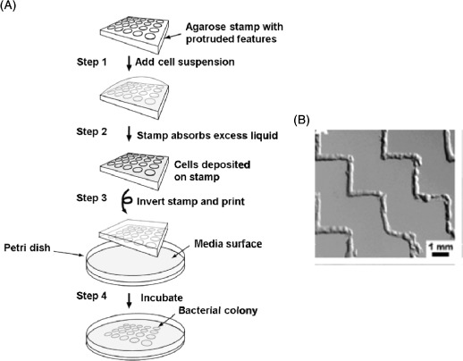 Figure 7.