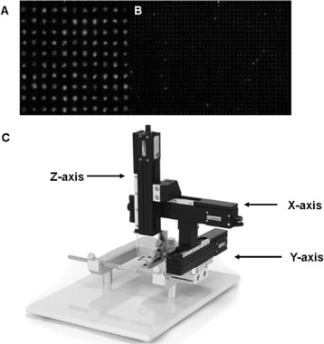 Figure 10.