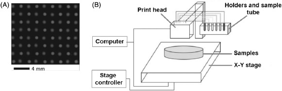 Figure 9.