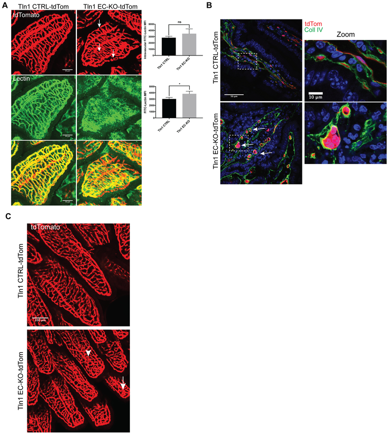 Figure 2: