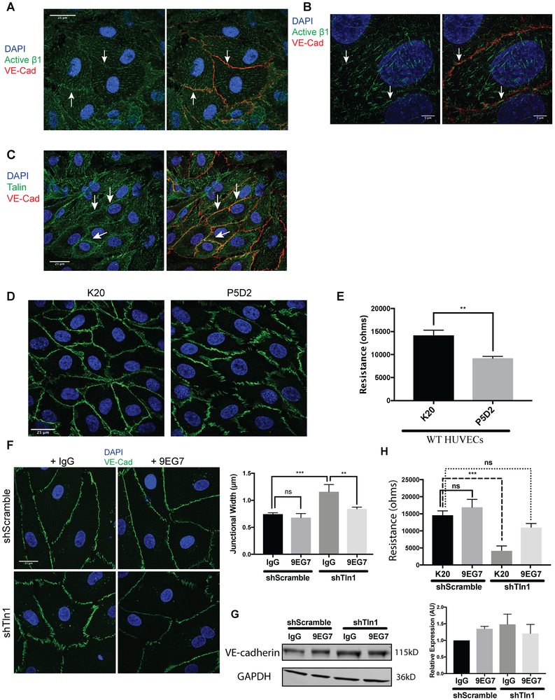 Figure 6: