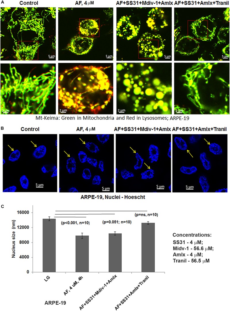 FIGURE 4