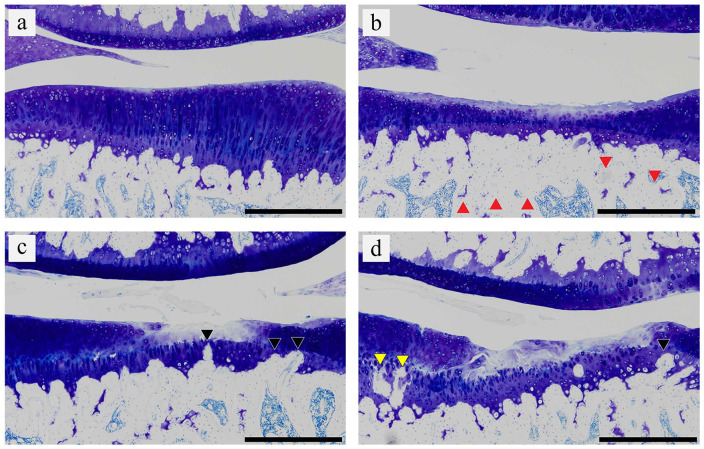 Figure 4.