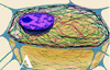 Fig. 26