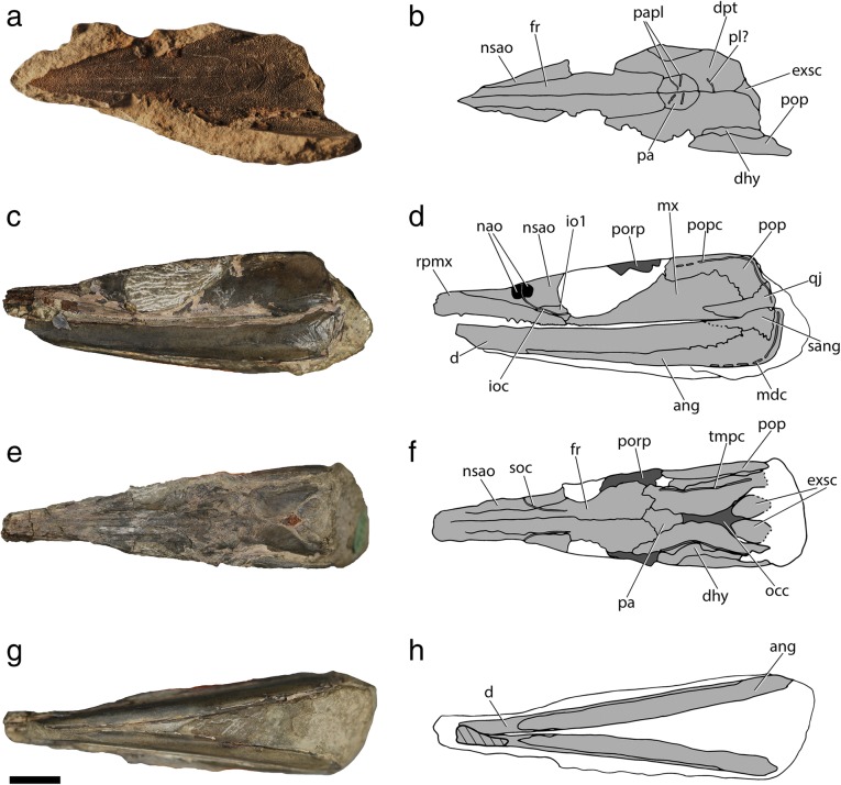 Fig. 11