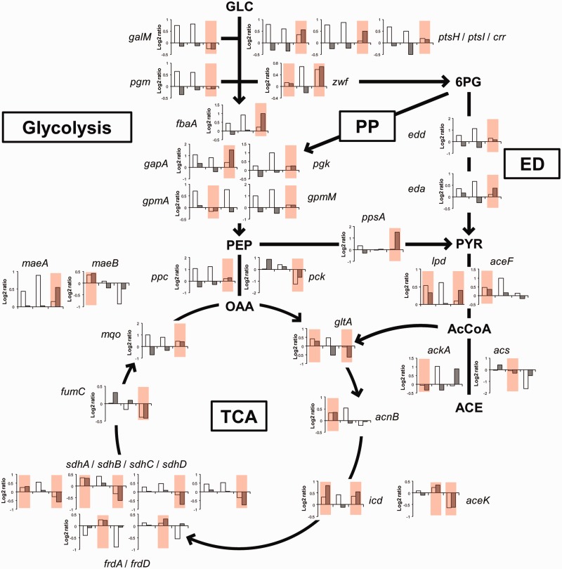 Figure 7.