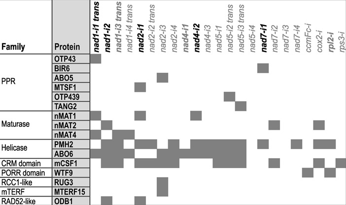 Figure 5.