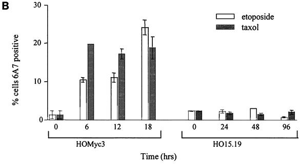 FIG. 10